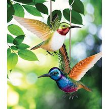 Product Image for Hummingbird Bouncie Set