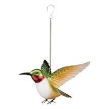 Alternate Image 1 for Hummingbird Bouncie Set