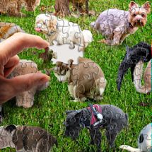 Alternate image 101 Pooping Puppies 1000 Piece Puzzle
