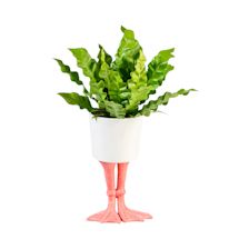 Product Image for Flamingo Planter
