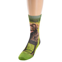 Product Image for Sublimated Dog Breed Socks