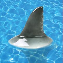Alternate image for Shark Fin Pool Floaters