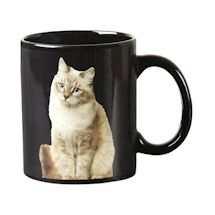 Alternate Image 1 for One Cat Leads to Another Magic Heat-Changing Coffee Mug