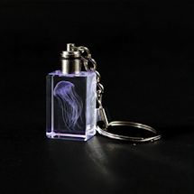 Alternate image Sea Nettle Crystal Led Keychain