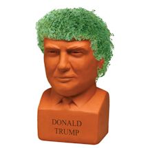 Alternate image President Donald Trump Chia Pet Head