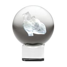 Alternate image Laser Etched Human Heart Crystal Sphere