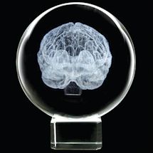 Alternate image Laser Etched LED Lighted Brain in Crystal Sphere