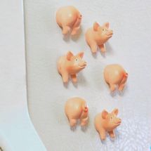 Alternate image Pig And Hedgehog Magnet Sets