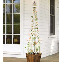 Product Image for Jack And The Beanstalk Plant Trellis Kit