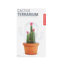 Alternate image Cactus Terrarium