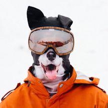 Alternate Image 14 for Animal Face Balaclava Ski Mask