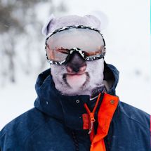Alternate Image 5 for Animal Face Balaclava Ski Mask
