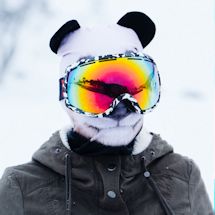 Alternate image for Animal Face Balaclava Ski Mask