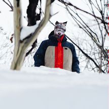Alternate Image 16 for Animal Face Balaclava Ski Mask