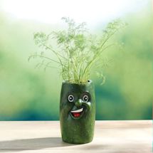 Alternate image for Veggie Herb Pots Set Of 4