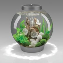 Alternate image for BiOrb Aquarium Kit - 4 Gallon