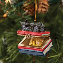 Alternate image for Porcelain Surprise Ornament - Tuxedo Kitten on Books