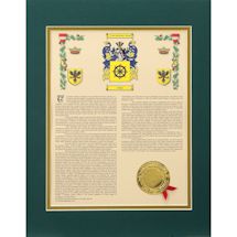 Alternate Image 1 for Personalized Coat Of Arms Framed Print 
